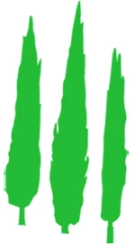 Aspettando la mangialonga